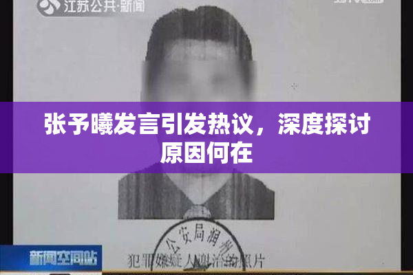 张予曦发言引发热议，深度探讨原因何在