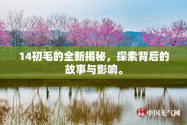 14初毛的全新揭秘，探索背后的故事与影响。