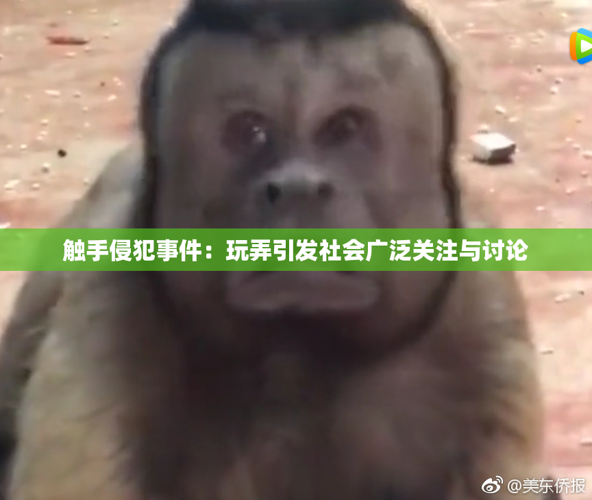 触手侵犯事件：玩弄引发社会广泛关注与讨论