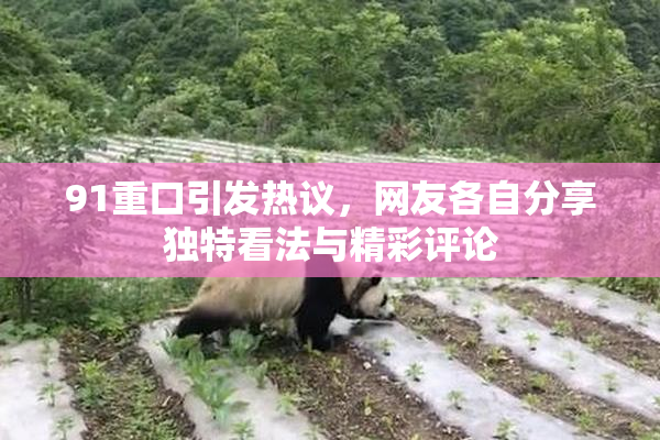 91重口引发热议，网友各自分享独特看法与精彩评论