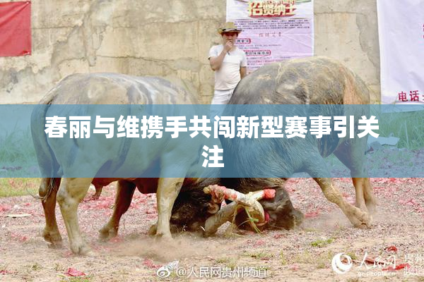 春丽与维携手共闯新型赛事引关注