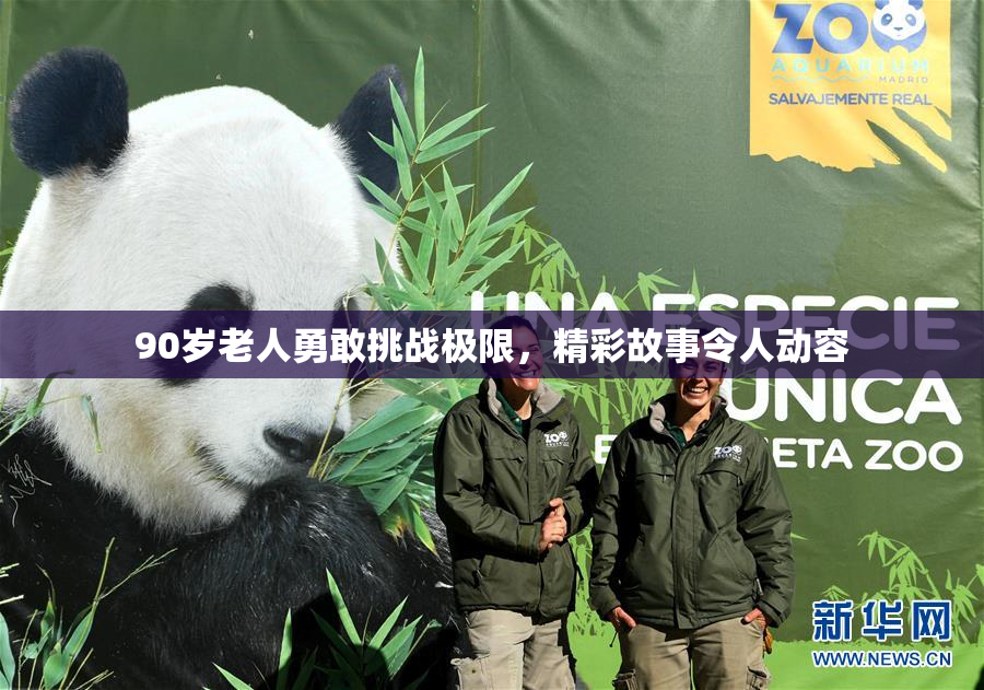 90岁老人勇敢挑战极限，精彩故事令人动容