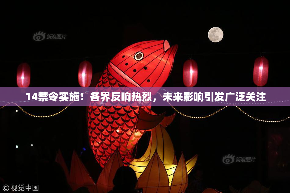 14禁令实施！各界反响热烈，未来影响引发广泛关注