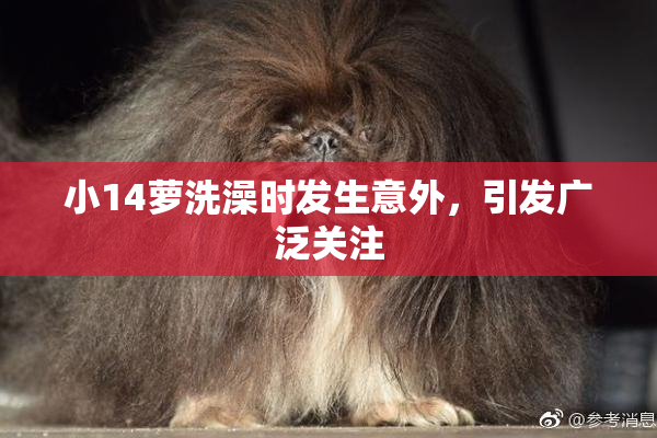 小14萝洗澡时发生意外，引发广泛关注