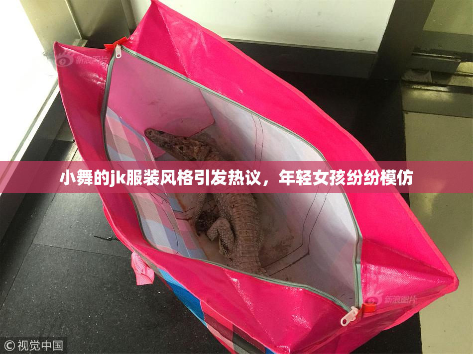 小舞的jk服装风格引发热议，年轻女孩纷纷模仿