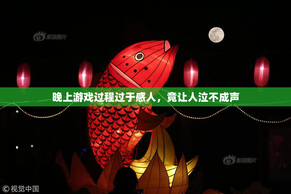 晚上游戏过程过于感人，竟让人泣不成声