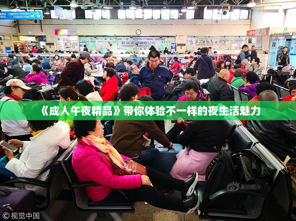 《成人午夜精品》带你体验不一样的夜生活魅力