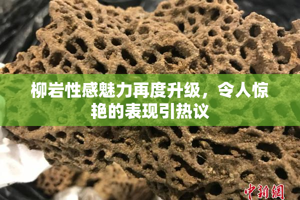 柳岩性感魅力再度升级，令人惊艳的表现引热议