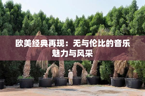 欧美经典再现：无与伦比的音乐魅力与风采
