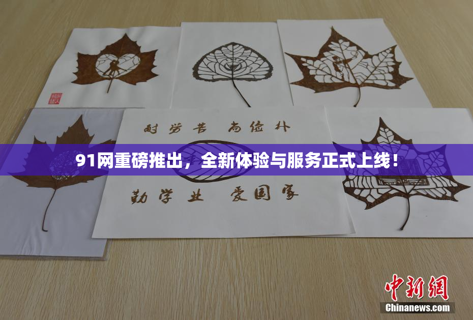 91网重磅推出，全新体验与服务正式上线！