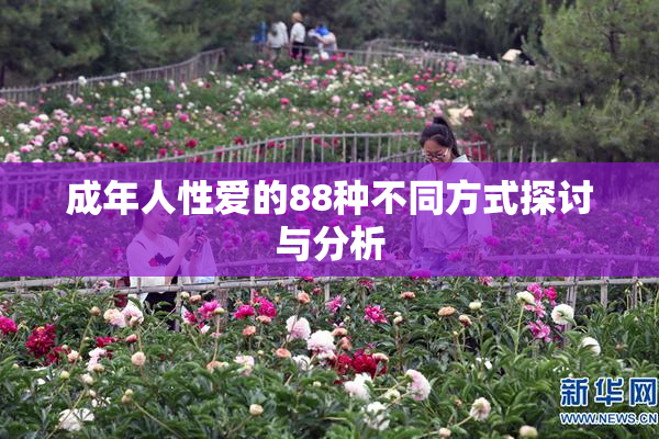成年人性爱的88种不同方式探讨与分析