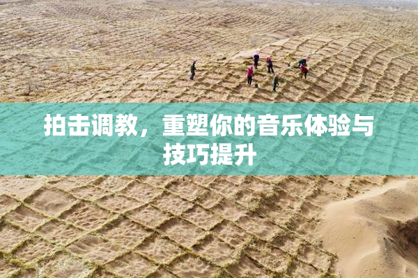 拍击调教，重塑你的音乐体验与技巧提升