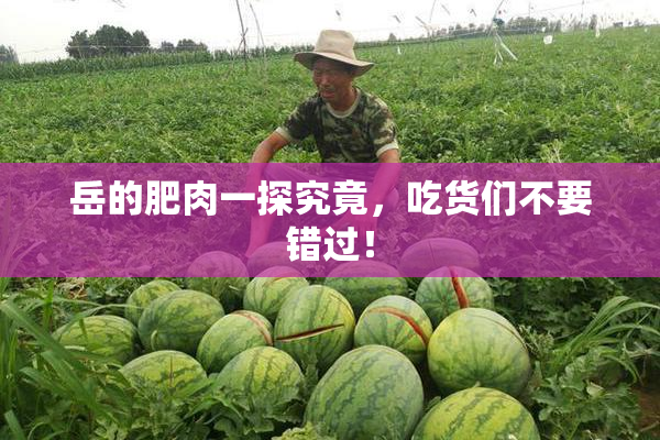 岳的肥肉一探究竟，吃货们不要错过！