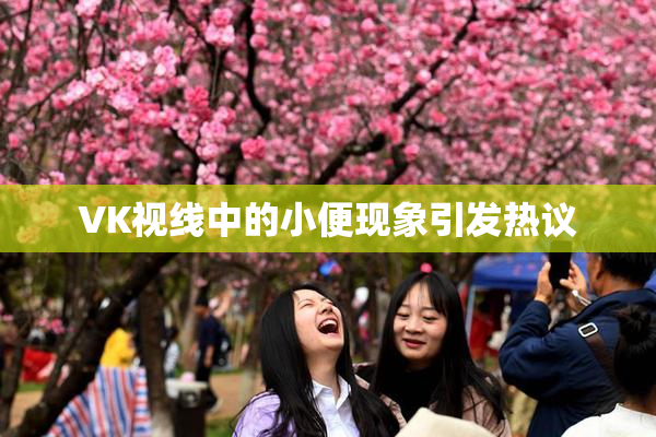 VK视线中的小便现象引发热议