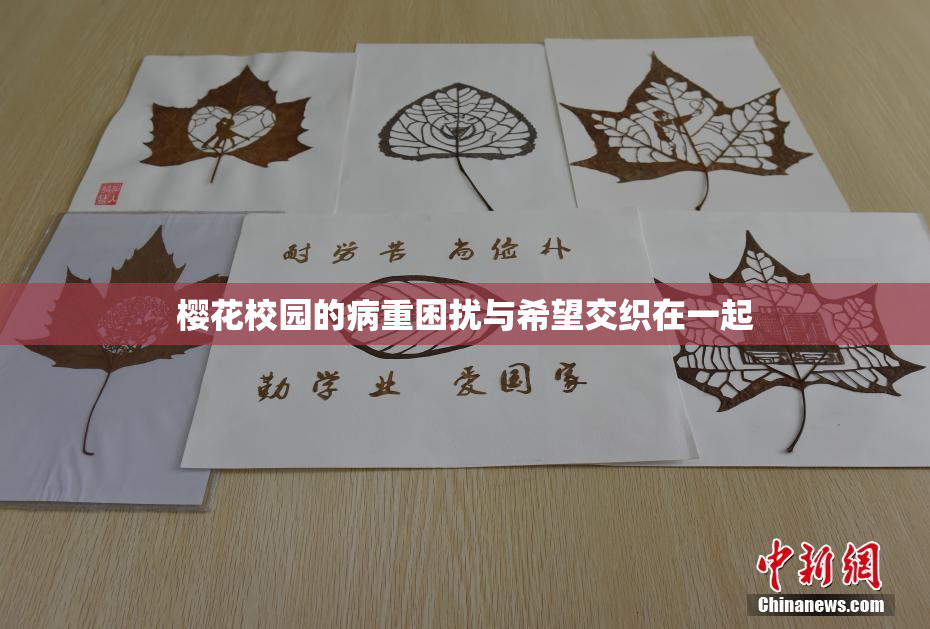 樱花校园的病重困扰与希望交织在一起