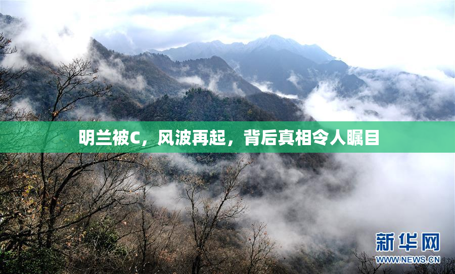 明兰被C，风波再起，背后真相令人瞩目