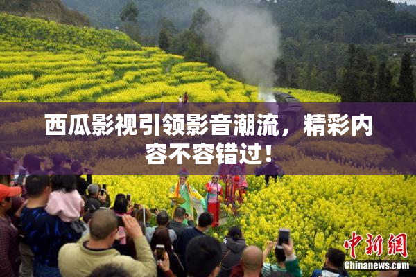 西瓜影视引领影音潮流，精彩内容不容错过！