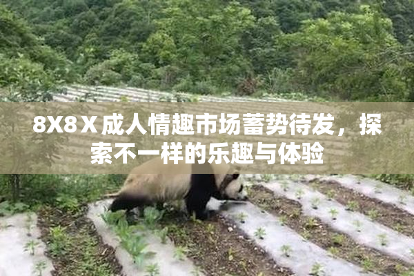 8X8Ⅹ成人情趣市场蓄势待发，探索不一样的乐趣与体验