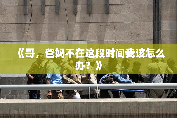 《哥，爸妈不在这段时间我该怎么办？》