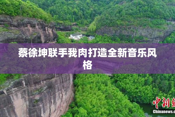 蔡徐坤联手我肉打造全新音乐风格