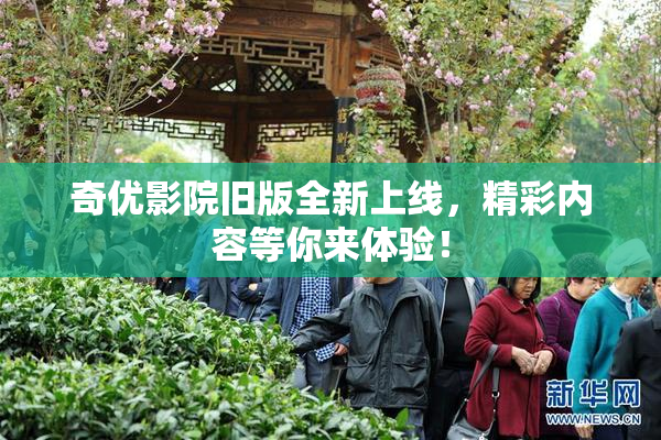 奇优影院旧版全新上线，精彩内容等你来体验！