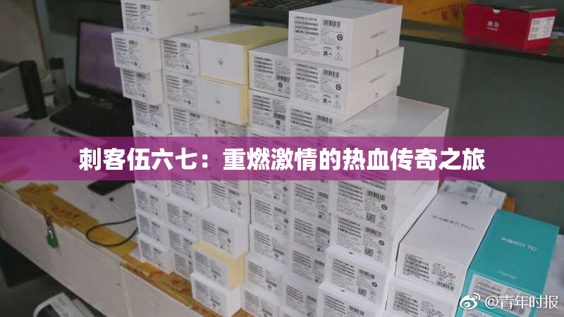 刺客伍六七：重燃激情的热血传奇之旅