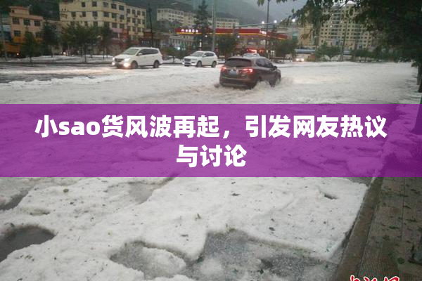 小sao货风波再起，引发网友热议与讨论