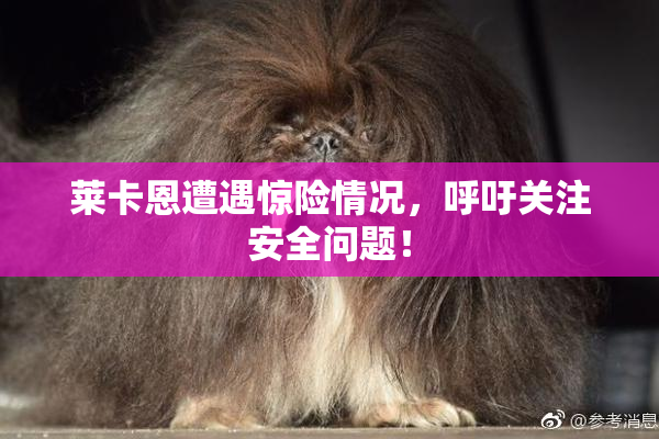 莱卡恩遭遇惊险情况，呼吁关注安全问题！