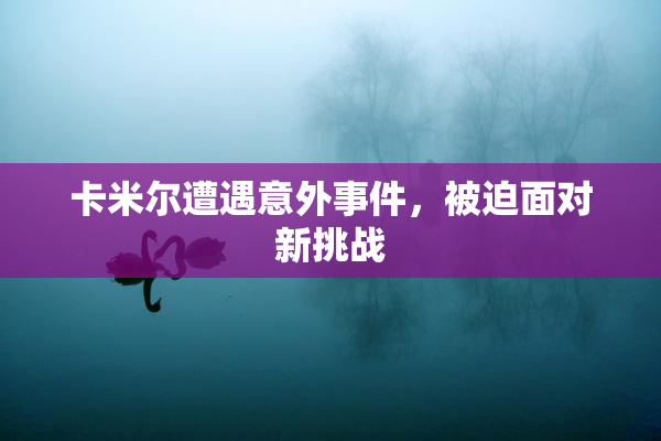 卡米尔遭遇意外事件，被迫面对新挑战