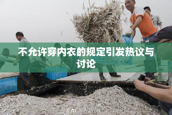 不允许穿内衣的规定引发热议与讨论