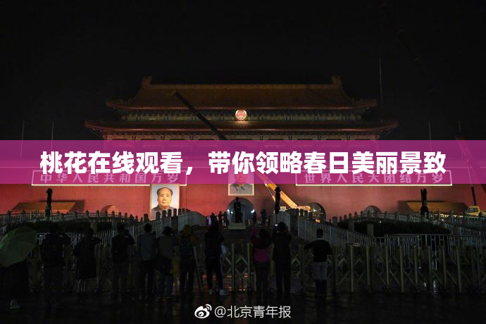 桃花在线观看，带你领略春日美丽景致