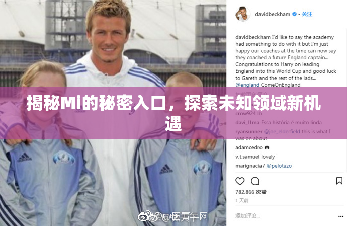 揭秘Mi的秘密入口，探索未知领域新机遇