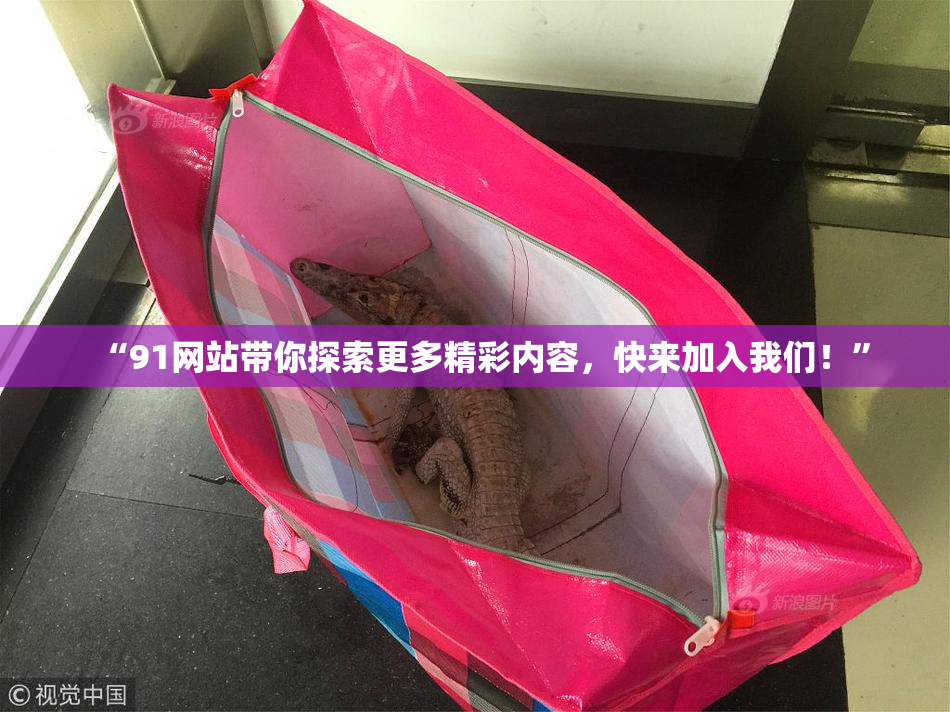 “91网站带你探索更多精彩内容，快来加入我们！”