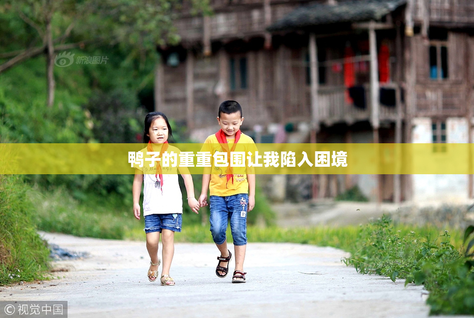鸭子的重重包围让我陷入困境