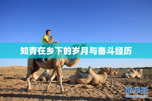 知青在乡下的岁月与奋斗经历