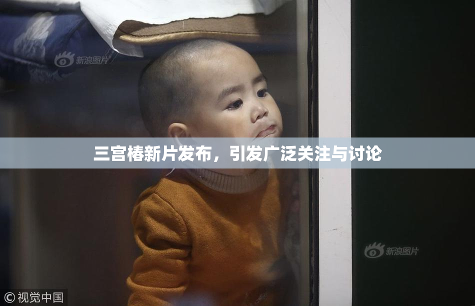 三宫椿新片发布，引发广泛关注与讨论