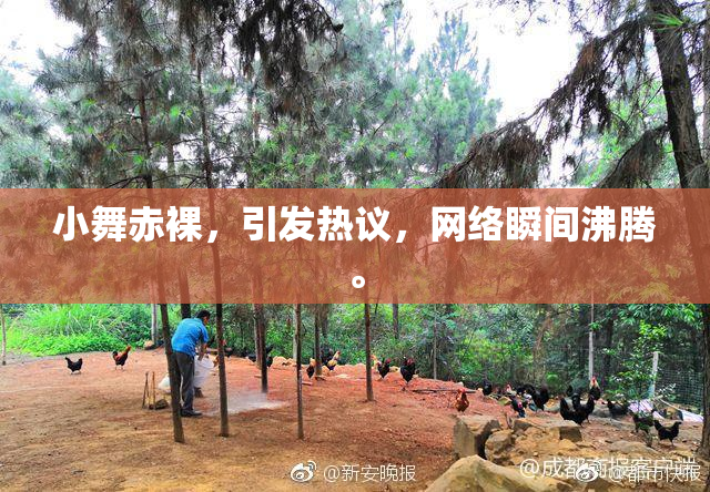 小舞赤裸，引发热议，网络瞬间沸腾。
