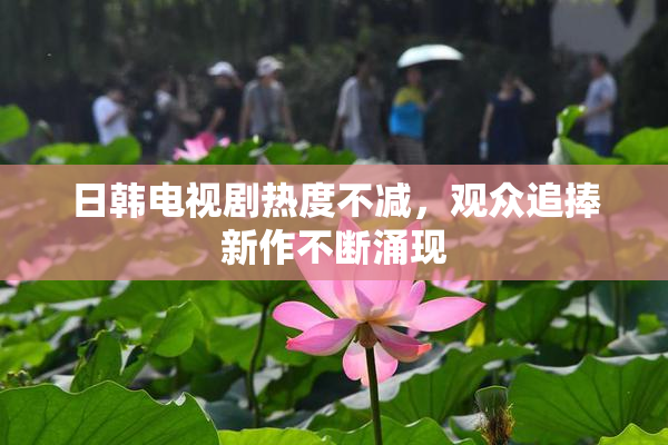 日韩电视剧热度不减，观众追捧新作不断涌现