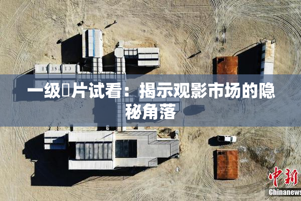 一级婬片试看：揭示观影市场的隐秘角落
