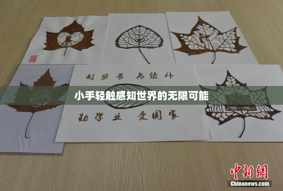 小手轻触感知世界的无限可能