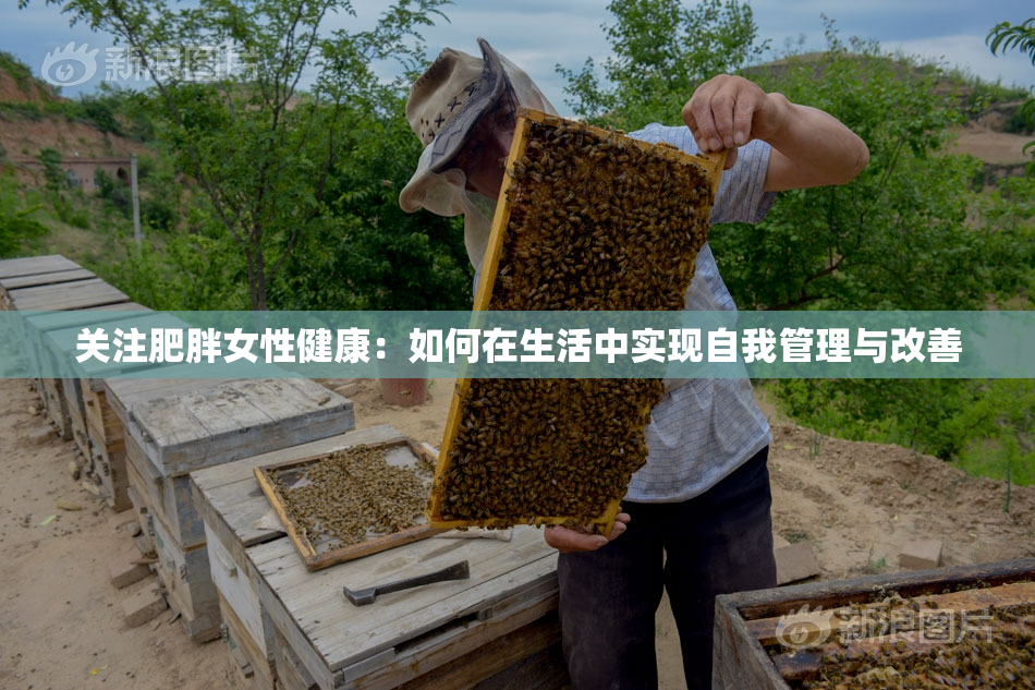 关注肥胖女性健康：如何在生活中实现自我管理与改善