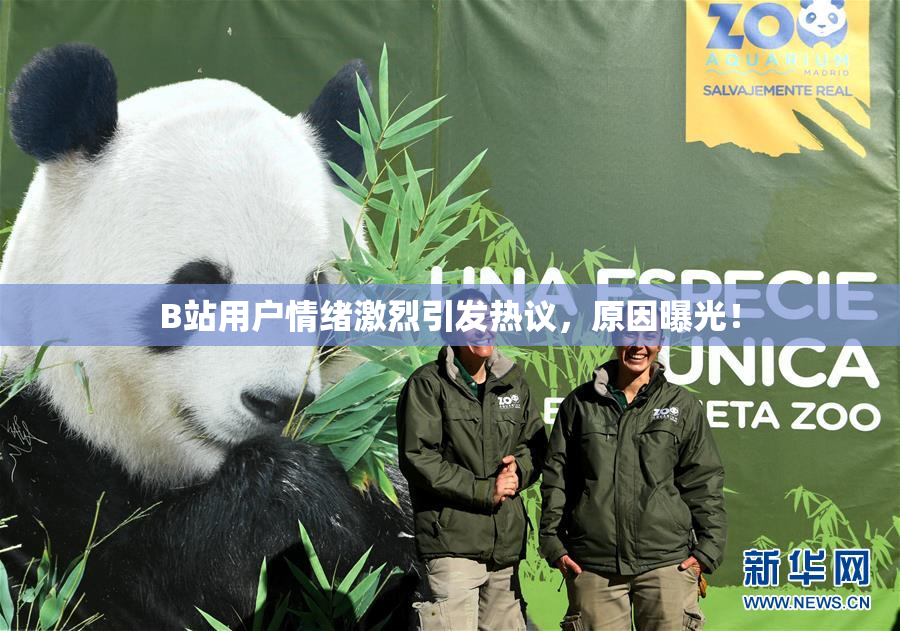 B站用户情绪激烈引发热议，原因曝光！