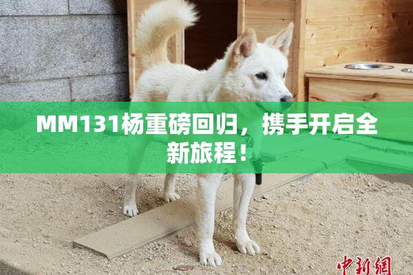 MM131杨重磅回归，携手开启全新旅程！