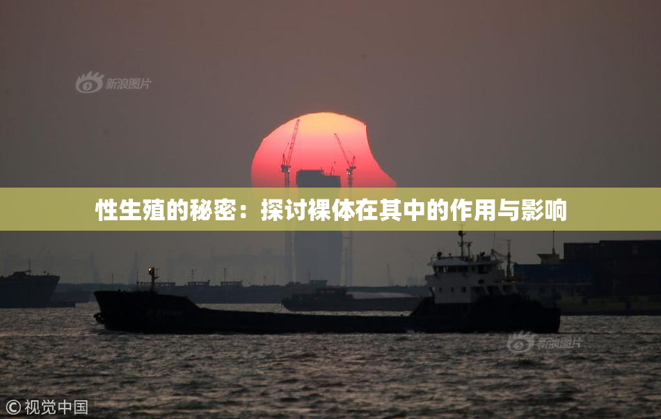 性生殖的秘密：探讨裸体在其中的作用与影响
