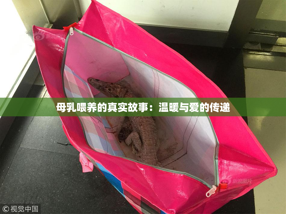 母乳喂养的真实故事：温暖与爱的传递