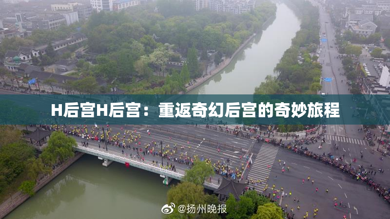 H后宫H后宫：重返奇幻后宫的奇妙旅程