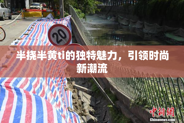 半挠半黄ti的独特魅力，引领时尚新潮流