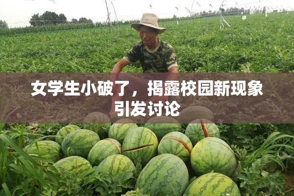 女学生小破了，揭露校园新现象引发讨论