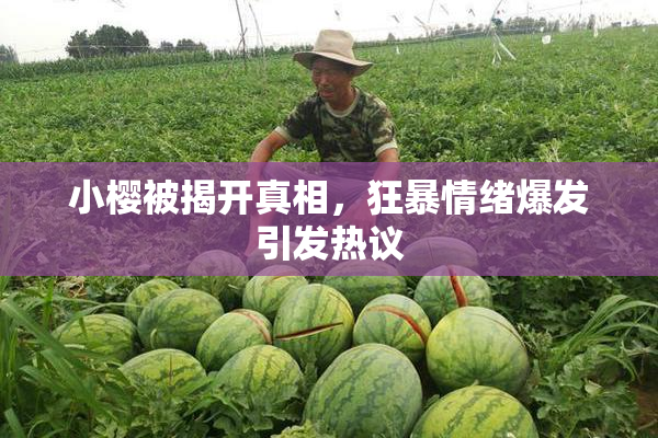 小樱被揭开真相，狂暴情绪爆发引发热议