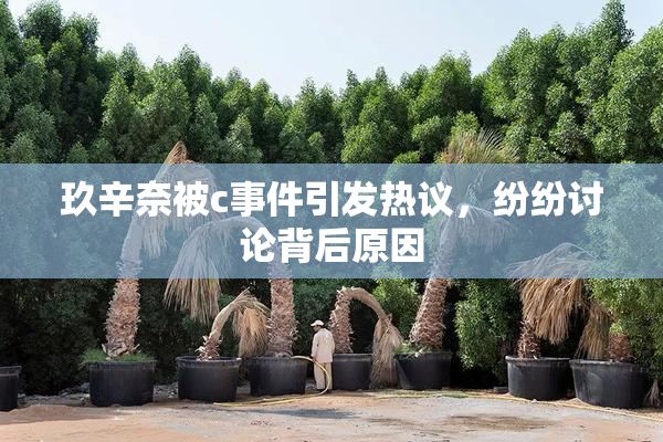 玖辛奈被c事件引发热议，纷纷讨论背后原因